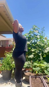 345K views · 10K reactions |  Rotating your crops each season is key to keeping your garden healthy and productive. #healthysoil #croprotation #gardentips #vegetablegarden #growingfood | The Okra Lady LLC | Facebook