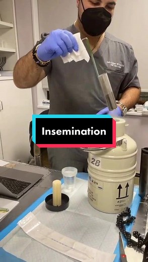 Have you ever wondered what the process of insemination looks like ? Well here you go! #foryou #womenshealth #fertility #obgyn #doctorsoftiktok #for