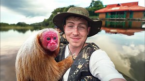 Watch rare Amazon monkeys appear high in the trees