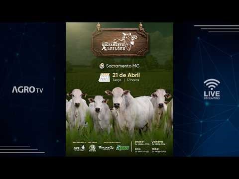 SACRAMENTO LEILÕES - 21/04/2026