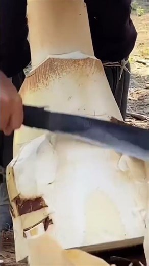 A Unique Way to Cut Bamboo Shoot Bases Using a Machete for a Clean and Ready-to-Cook Result