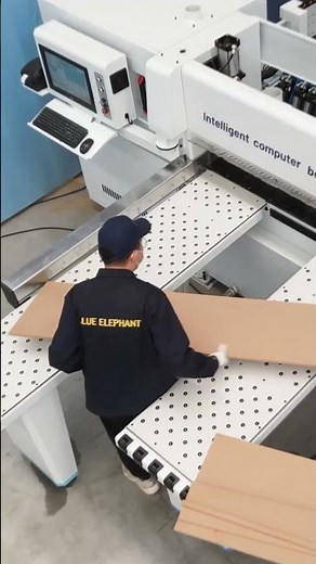 High Speed 280 Front Loading Computer Beam Saw Panel Saw for Wood Cabinets at Best Price