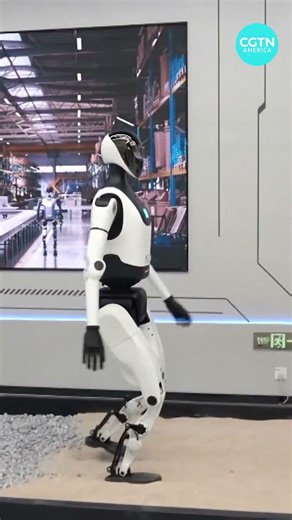 China's plan to expand its technology globally