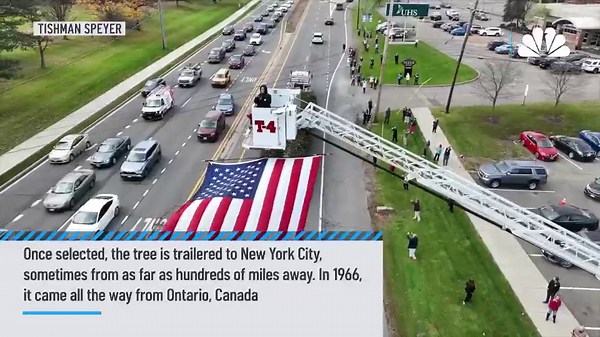 5 things to know about the Rockefeller Center Christmas Tree
