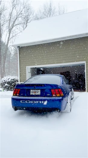 GOZA SVT | ❄️😮‍💨 #ford #mustang #svt #cobra #terminator | Instagram