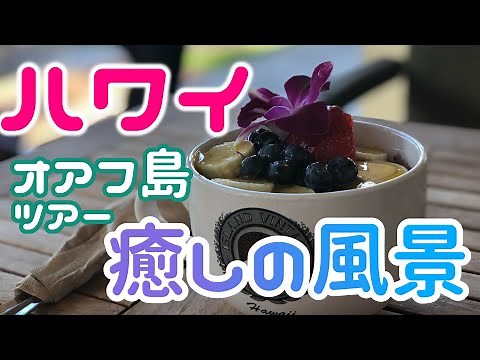 【ハワイ風景 動画】オアフ島の絶景スポット巡り