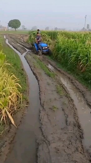 Bharat Prajapat (800)k on Instagram: "Paid promotion available  ❤️❤️❤️❤️❤️❤️❤️❤️❤️❤️❤️❤️ #trading#smalltractor #sonalika #newholland #newholland3630 #newhollandtractor #tractorking #tractorlove #tractorpower #tractor #farmtrac #either #modified#swaraj #swaraj855 #tractorstunt#zamidar #tractortochan #tractorlovers #tractorlife @officialsumitgoswami #viral#farmtrac60 #villagers #villagelife #jatt #kissan #jattmind⚠️ #jamidar #farmerlife"