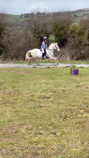 Hillcrest Equestrian Centre Munster Arena Eventing League ☘️☘️☘️ | Irish Eventing Times