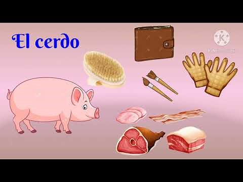 ANIMALES ÚTILES Y PERJUDICIALES