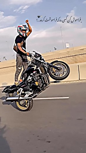 alisalari on Instagram: "️"