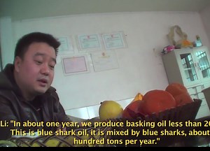 Oscar Winning Filmmakers Bust Endangered Species Slaughter House. | elephant journal