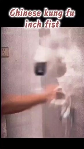 Chinese Kung fu. #tiktok #selfdefense #kungfu #combat #fight #fyp #foryou #fy #fyp #foryou #forpage #viral | Kung Fu