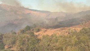 9.6K views · 51 reactions | Despite a stern warning from the Eswatini...