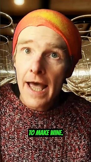 Home Winemaking: Bread Yeast vs. Wine Yeast!