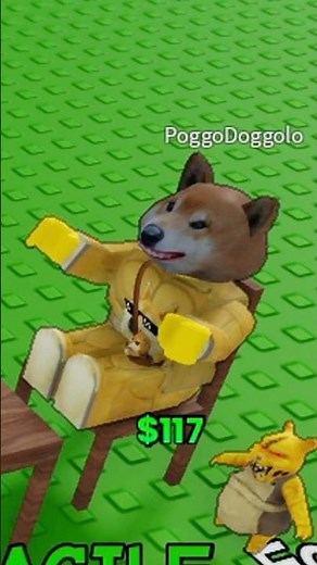 YES, NO, MAYBE? SU ROBLOX CON POGGODOGGO! 🔥