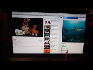 World Animals 2003 Promo