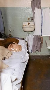 12K views · 117 reactions | Three Inmates Vanished From an “Inescapable” Prison. Bodies: Never Found Escape From Alcatraz: The 1962 Prison Break That’s Still Unsolved #escape #prisonescape #prisonbreak #unsolved #mystery | Life's Biggest Questions | Facebook