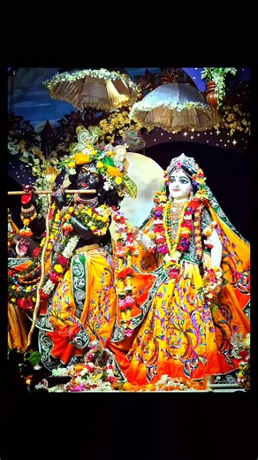 11K views · 1.6K reactions | Jara pass batho he Banke bihari覆覆 | Ani Ta | Facebook