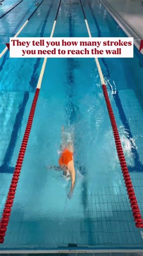Backstroke Made Easy: How to Use the Flags to Reach the Wall Safely #swimming #swim #shorts