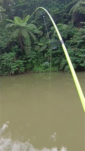 casting mahseer umpan spoon #castingikanmahseer