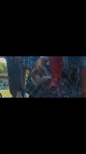 26 reactions · 11 shares | Erupting Activity! Four groups worked together as one, and created their own VOLCANO MODELS designs. During the process of making VOLCANO MODELS, each group faces difficulty, but it was all worth it because each models worked perfectly. Submitted to : Ma’am Arianne #scienceproject | Grade 9- Pearls | Facebook