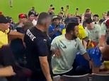 Watch the shocking moment Ecuador and Mexico fans brawl in the stands