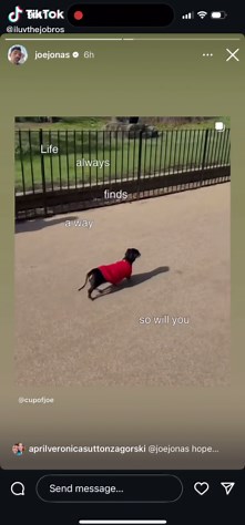 Joe Jonas Shares Exclusive Insights on Instagram Story