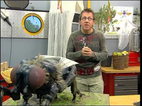 MOUCHES : Les sorciers prennent la mouche - C'est Pas Sorcier