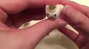 3.8K views · 62 reactions | Koko loved this little tutorial of how to...