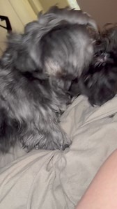 1.6K views · 11 reactions | That Country Lady on Reels | Facebook