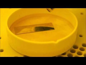 Fabrication of PDMS Microfluidic Devices Integrated with an Electrical Circuit