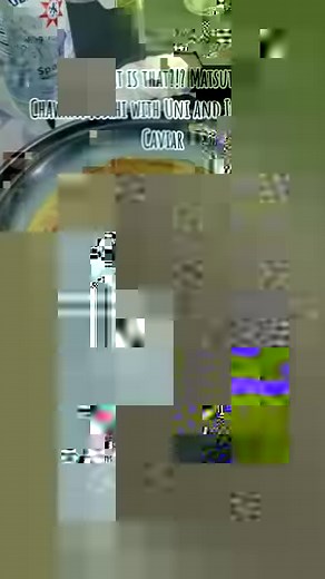 Matsutake (Tricholoma murrillianum) is a delicious edible mushroom that is highly prized in Asia for its unique aroma (cinnamon-seafood) and meaty texture. Here in California it tends to grow in association with Tan Oak on hillsides with sandy soil. I find them anywhere from October-February depending on rain, temperature, and elevation. .Here my friend tore them into long pieces and put them in a Chawanmushi, a Japanese style steamed egg dish, where you mix dashi with eggs, add ingredients and 