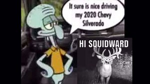 Hi Squidward / It Sure Is Nice | Know Your Meme