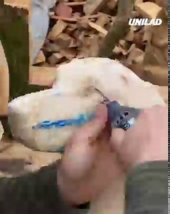 Now I need a wooden pup 🐶 | UNILAD