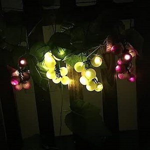 KINGCOO Grape Solar Outdoor Waterproof String Lights 80LED Grape Bunch Hanging Lighting 8 Function Lighting String Lights for Backyard Balcony Bistro Garden Wedding Party Decoration(Purple+Yellow)
