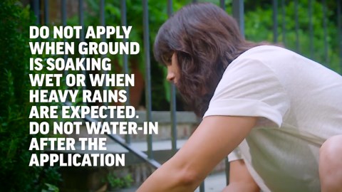 AMDRO 1 lb. 2,000 sq. ft. Outdoor Fire Ant Killer Granule Bait for Mounds and Lawns 100550443