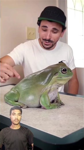 From Cute Frog To Giant YouTuber - Meet Dumpy ! 🐸💥 #frog #pets #facts #shorts