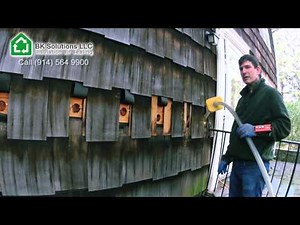 4.1 Exterior wall insulated with cellulose (dense packed)