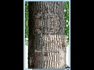 WarioWare: Touched! Playthrough Part 3