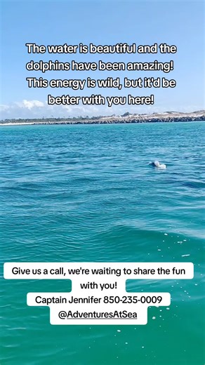 It's cold today but it will be warm soon and beautiful PCB, the dolphins and Captain Jennifer are waiting for you! #pcb #dolphins #tour #fyp #happiness