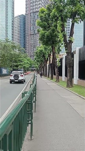 tall trees and buildings #viral #dont_forget_to_like_and_subscribe