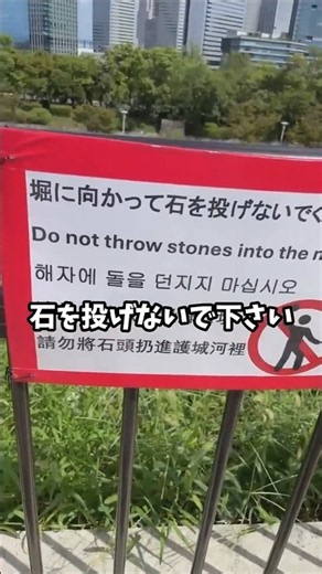 今のインターネットに必要なこと【Neg先生/切り抜き】