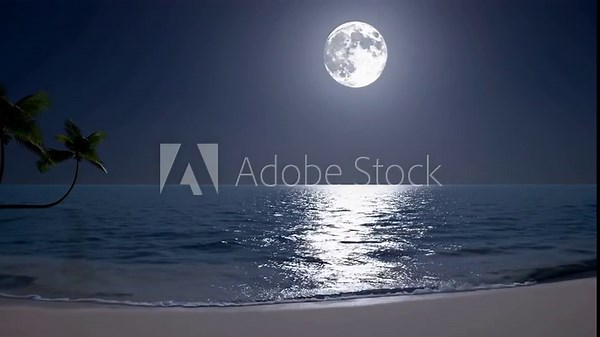moonlight night on tropical beach, with the moon shining above the ocean in 3D rendered scene
