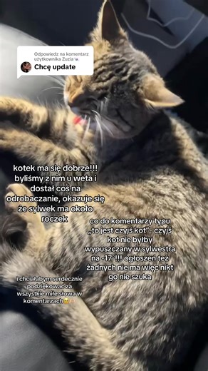Odpowiadanie użytkownikowi @Zuzia🍬 #dc #kot #fyp