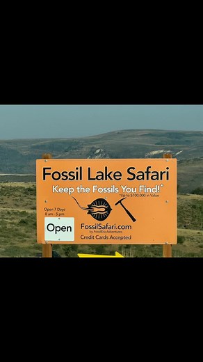 Day 5- We stayed in Kemmerer, Wyoming and visited the Green Riverbed Quarry! This area is privately owned and we went on a fossil dig at Fossil Lake Safari! It was a hit and dusty time, but we really enjoyed learning about the preservation process and learning how to split rocks to reveal the fossils! We also visited the Fossil Butte National Monument to learn more about the region ! #kemmererwyoming #fossil #americanfossil #greenriverbed #fossil lake safari