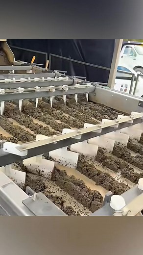 The most unpleasant process that keeps your city clean _technology _recycling _discover #hashtagfbreelsvideo | Contraction Tricks