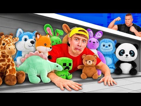 CACHE CACHE DANS UN MAGASIN DE JOUETS