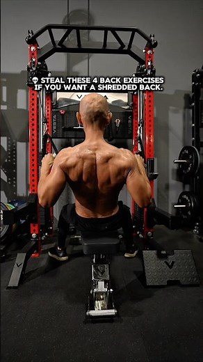 Back Exercises to Shred Your Back ‪@vestafitness‬
