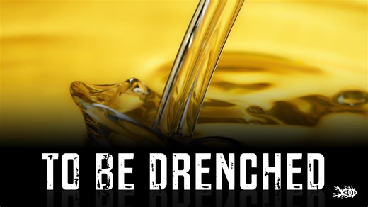 60 reactions · 57 shares | The bridegroom is coming to find a Bride drenched with His oil. Let that shining burning one be you. Get your free copy of Oil From Heaven, by Shane W Roessiger, today! https://www.hothouseoftruth.com/free-book-download/ Available in English & in Portuguese. | Hothouseoftruth | Facebook