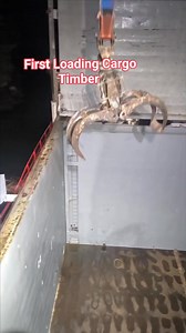 305K views · 1.7K reactions | First Loading Timber Logs Self Loading Cargo Timber Loading Norway | Wilfred Bellano Vlog | Facebook